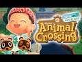 Animal Crossing New Horizons Hopes and Concerns