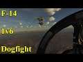 DCS World 2.5.5: F-14 1 vs 6 Dogfight (4x Su-27 & 2x Mig-29S)