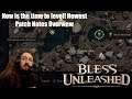 A New Update for Leveling on Bless Unleashed | Bless Unleashed Full Release