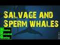 Atlas - Salvage and Sperm Whales