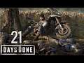Days Gone (PS4) | En Español | Capítulo 21 "Solo sirve seguir" - HD - Sin Comentarios