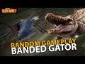 *Random Gameplay* Legendary Banded Gator in Red Dead Online