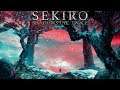 Returning To Sekiro: Entering The Devine Realm