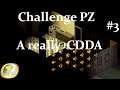 A really C:DDA #3 (Project Zomboid fr Challenges)