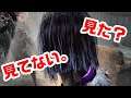 この部屋の石像になった【サバイバーでDead by Daylight 実況#975】