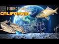 FISHING PLANET [PL] [fppl] - Grunt TO Zabawa California [Gameplay PL] Fisherman PL