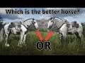 Gypsy Cob or Kladruber?Which is best?|RDR2 Online