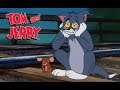 Ultimo episodio de Tom y Jerry " El dinero siempre gana"