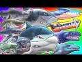 ALL SHARKS UNLOCKED!!! (HUNGRY SHARK EVOLUTION)
