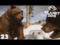 Enclos OURS ISABELLE - PLANET ZOO - royleviking [FR HD PC]