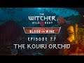 The Witcher 3 BaW - Let's Play [Blind] - Episode 77