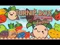 Turnip Boy Commits Tax Evasion - Tongue in Cheek Tax Evasion Zelda