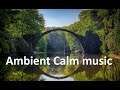 Ambient Calm music 1 hour, relaxing music, sleep music, meditation music