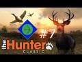 Into the Hemmeldal Highlands | theHunter: Classic #7