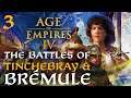 THE BATTLE OF KINGS - HENRY I vs LOUIS VI! Age of Empires IV - Norman Campaign Gameplay #3