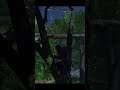 Tree Climbing is the best feature add up after Revelation in | Assassin's Creed