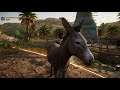 Donkey's face - Assassin's Creed® Origins gameplay - 4K Xbox Series X