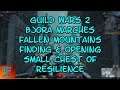 Guild Wars 2 Bjora Marches Fallen Mountains Finding & Opening Small Chest of Resilience