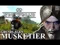 ⚔️ NEW WORLD ⚔️- So spielt ihr ein Musketier in New World - Rapier und Muskete build - MMO - deutsch