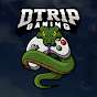 DTR1P Gaming