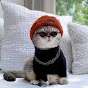 JARZZ JB