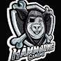Hammbone Gaming
