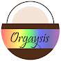 Orgaysis