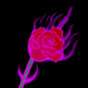 The Flamed Rose