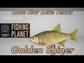 Golden Shiner - Lone Star Lake Texas - Fishing Planet