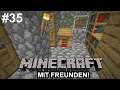 Minecraft mit Freunden - #35 - 🏡Mehr Dorfoptimierung!🏡