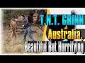 Australia, Beautiful But Horrifying!!!!! | TRY NOT TO GRINN