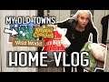 HOME VLOG: Watch me clean the house and play OLD Animal Crossing games! 3DS & DS!