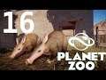 Let's Play Planet Zoo: Franchise (Part 16) - Aardvark Adventures