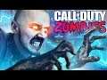 Throwing it back to Call of Duty Zombies!