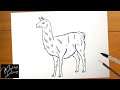 How to Draw a Llama Easy Step by Step