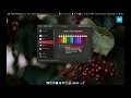 How to enable color blindness screen filters on macOS