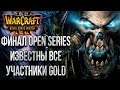 ФИНАЛ OPEN SERIES 💾 Warcraft Gold League