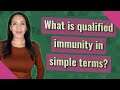 What is qualified immunity in simple terms?