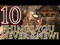 10 Things You Never Knew! - Total War Warhammer 2 Battles!