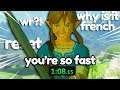 How I Became The Best Breath Of The Wild Speedrunner | Part 2