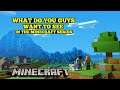 I NEED EVERYONE'S OPINION ON THIS PLEASE / MINECRAFT IDEAS