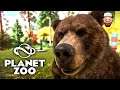 O Habitat dos Ursos Cinzentos | Planet Zoo #08 | Gameplay pt br