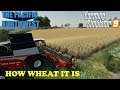 The Pacific Northwest Ep 43     Contracts and wheat harvest     Farm Sim 19