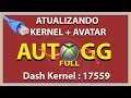 [Xbox RGH] AutoGG Full - Com apenas 1 click Atualize Kernel e Avatar para 17559 Rápido ▪️ (nº1348)