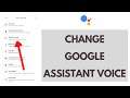 How to Change Google Assistant Voice
