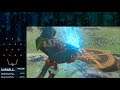 Let's Stream: Legend of Zelda BOTW [Part 12]