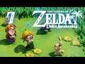 True Capitalist Nightmare | The Legend of Zelda: Link's Awakening (Part 7) - Super Hopped-Up