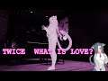 VRChat Dance TWICE (트와이스) - What is Love?