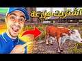 محاكي السوبر ماركت #13 : شراء المزرعة - شريت بقرة 😍🔥 | Trader Life Simulator