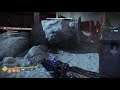 Destiny 2 using bastion